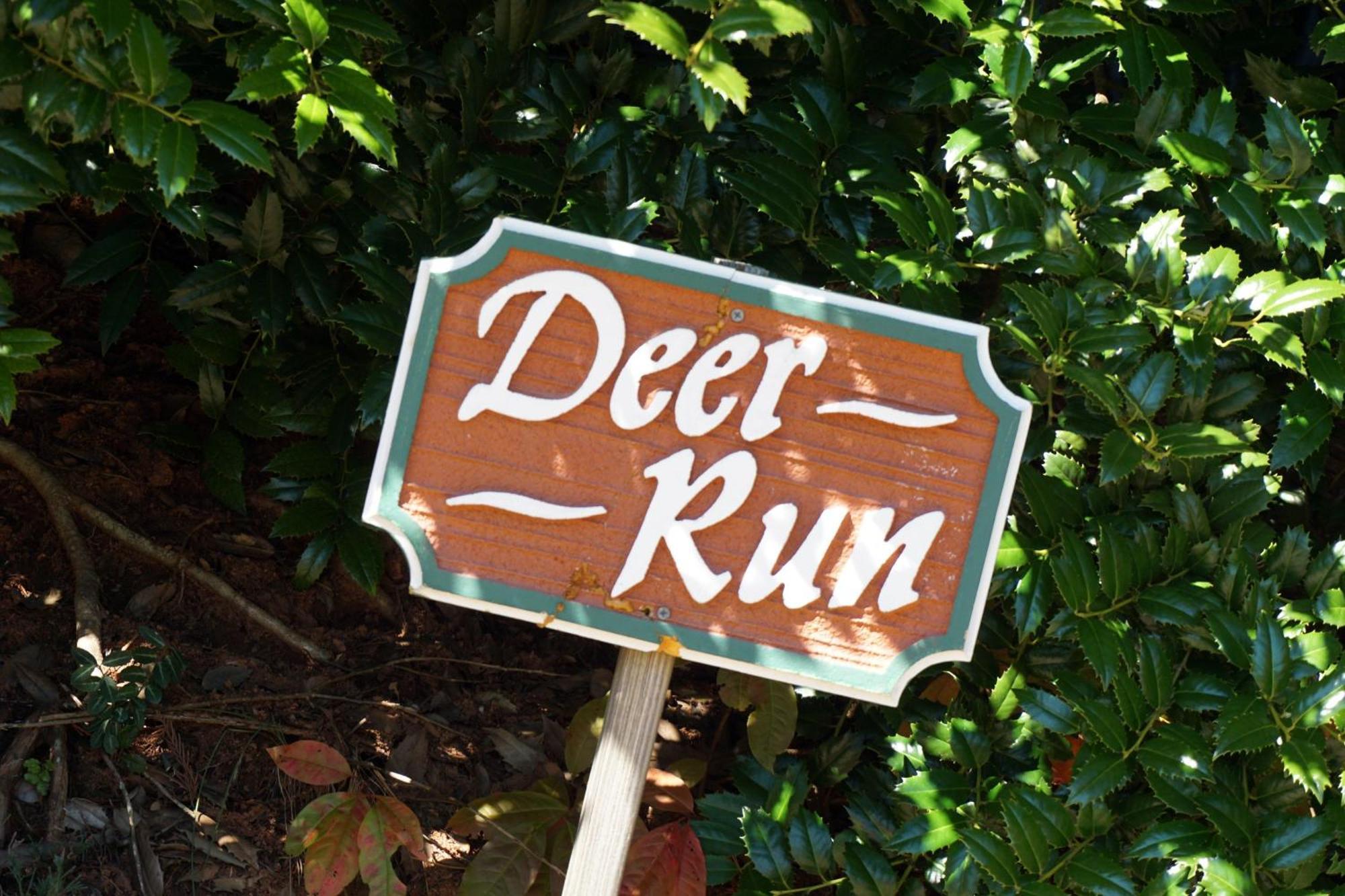Paradise Hills, Winery Resort & Spa Blairsville Rum bild